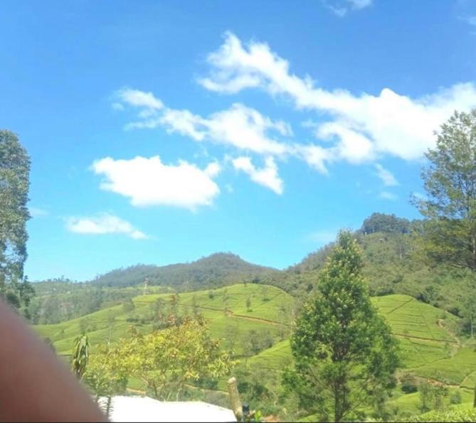 Nuwaraeliya Penthouse Apartment With Pool & Panaromic Views Нувара-Елія Екстер'єр фото